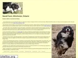 Sites similar to workingbordercollies.ca