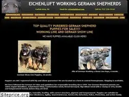 Sites similar to workinggermanshepherd.com