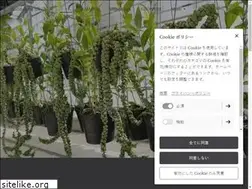 Sites similar to world-plaza.life
