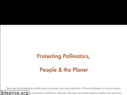Sites similar to worldbeeproject.org