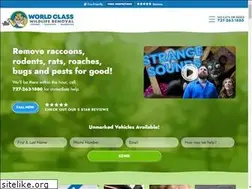 Sites similar to worldclasswildliferemoval.com