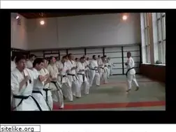 Sites similar to worldkyokushin.org