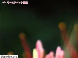 Sites similar to worldpetreien.jp