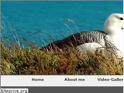 Sites similar to worldwide-birding.com