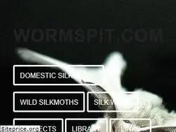 Sites similar to wormspit.com
