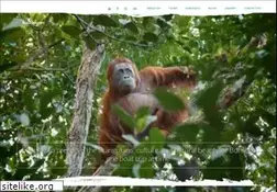 Sites similar to wowborneo.com