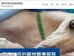 Sites similar to wowodog.com