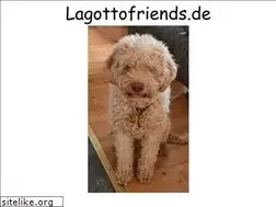 Sites similar to wr-mynet.de