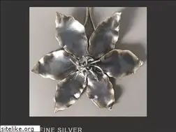 Sites similar to wrappedinsilver.com