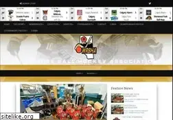Sites similar to wrballhockey.com