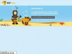 Sites similar to wrungshop.fr