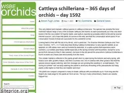 Sites similar to wsbeorchids.org