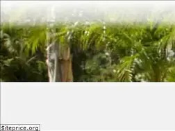 Sites similar to wscorrea.com.br