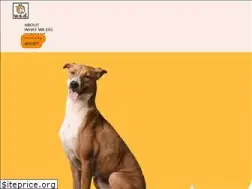 Sites similar to wsdindia.org