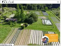 Sites similar to wt-hanauta.com