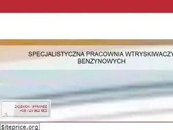 Sites similar to wtryskiwacze-benzynowe.pl