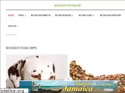 Sites similar to wunsch-hund.de