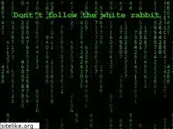 Sites similar to wurr.de