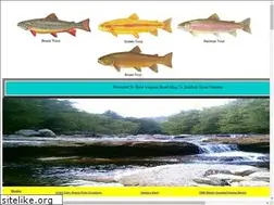 Sites similar to wvtroutmap.com
