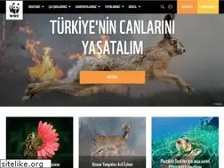 Sites similar to wwf.org.tr