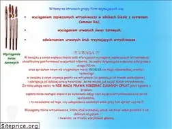 Sites similar to wyciagamywtryski.pl