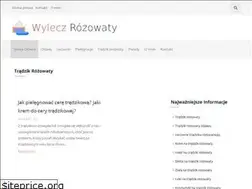 Sites similar to wylecz-rozowaty.pl