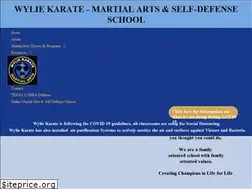 Sites similar to wyliekarate.com