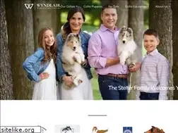 Sites similar to wyndlaircollies.com