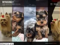 Sites similar to wynsumly.com