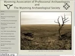 Sites similar to wyomingarchaeology.org