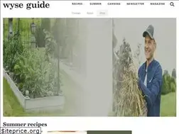 Sites similar to wyseguide.com