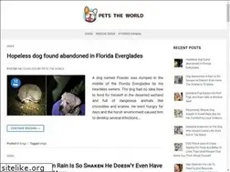Sites similar to xaydungsieuthi.com