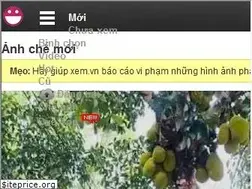 Sites similar to xem.vn