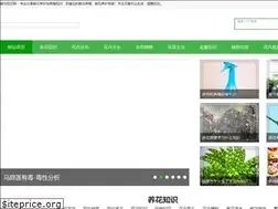 Sites similar to xianhuazhishi.com