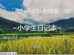 Sites similar to xiaofd.win