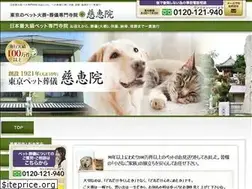Sites similar to xn--9ckk6cu90pipcms7agkbk9z4r7d2swb.jp