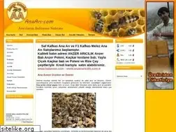 Sites similar to xn--anaar-r4a.com