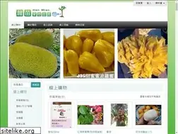 Sites similar to xn--hdst89am2b71ik9zca.tw