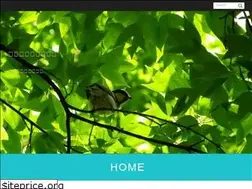 Sites similar to xn--n8jvdy13k5sk1s1d.net