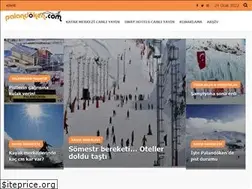 Sites similar to xn--palandken-57a.com