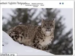 Sites similar to xnphotography.com