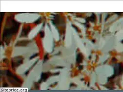 Sites similar to xpand.pt