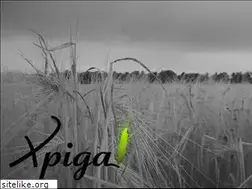 Sites similar to xpiga.com
