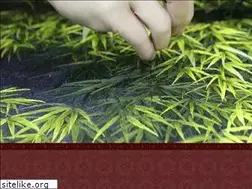 Sites similar to xqvietnam.com