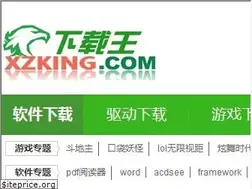 xzking.com