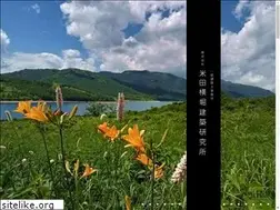 Sites similar to y-archi.co.jp