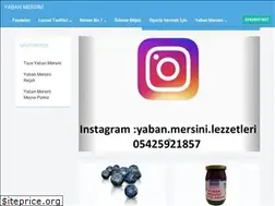Sites similar to yaban-mersini.com