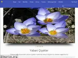 Sites similar to yabanicicekler.com