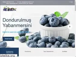 Sites similar to yabanmersini.com.tr