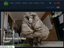 Sites similar to yabantv.com